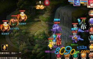 女娲宠物爆料视频下载大全,一网打尽最新宠物情报