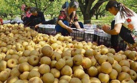 砀山最新吃瓜爆料视频曝光,视频曝光惊人内幕  第2张