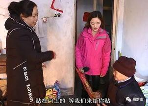 徐老太爆料视频大全,揭秘生活百态，引发社会热议